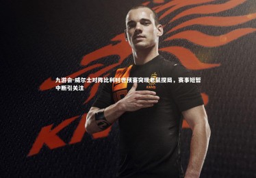 九游会-威尔士对阵比利时世预赛突现老鼠搅局，赛事短暂中断引关注