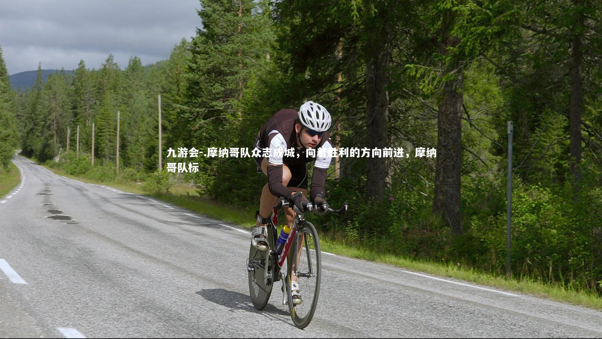 .摩纳哥队众志成城，向着胜利的方向前进，摩纳哥队标